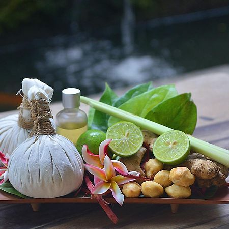 Villa Jj And Spa Ubud Екстер'єр фото