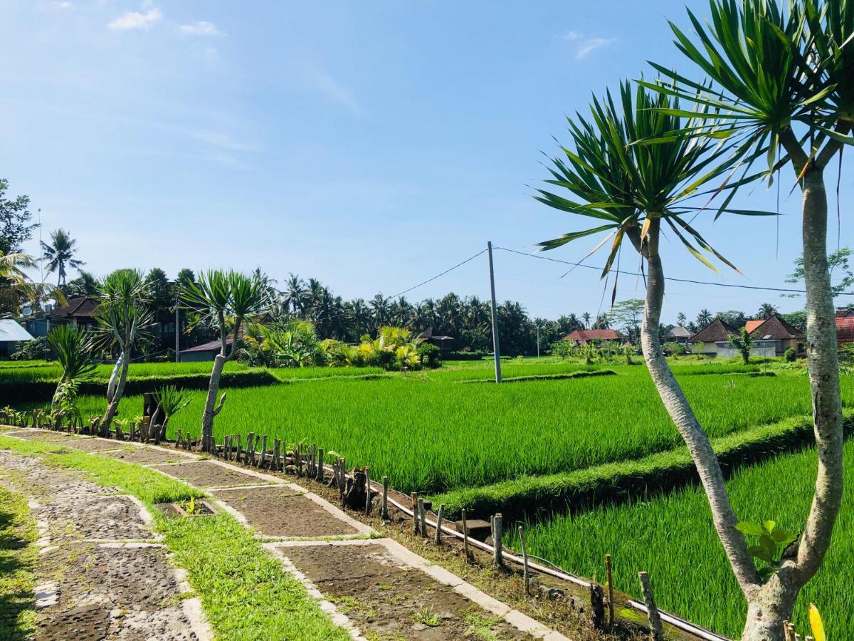 Villa Jj And Spa Ubud Екстер'єр фото