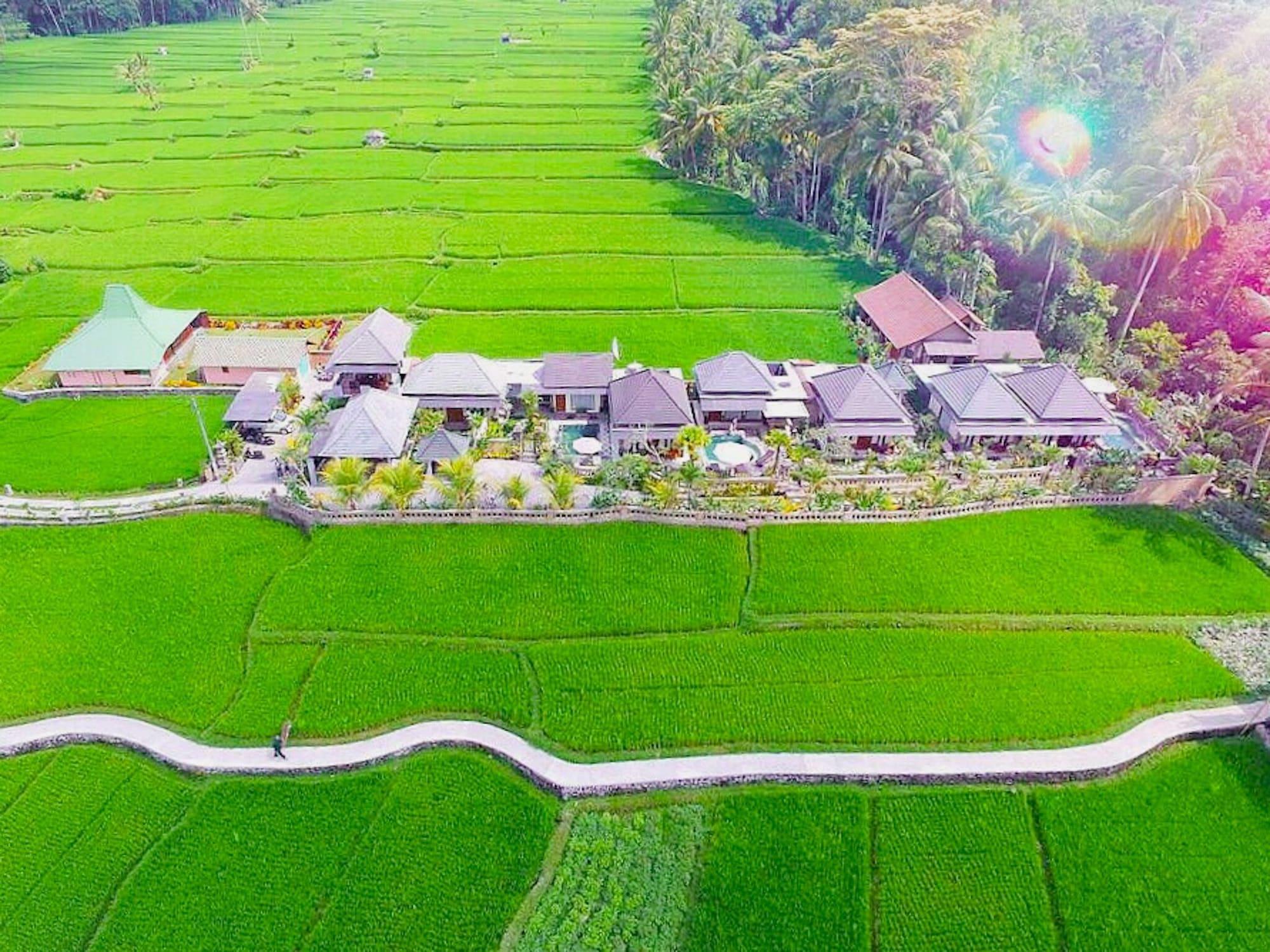 Villa Jj And Spa Ubud Екстер'єр фото